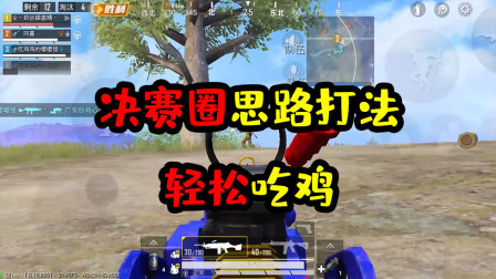 阿彬和平精英解说：高端王牌局的决赛圈思路打法，轻松吃鸡