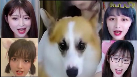 二台直播员的痛， 周姐懂么？