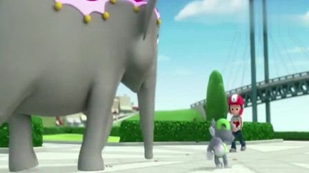 汪汪队立大功：莱德拿花生当诱饵，把小象引回农场！