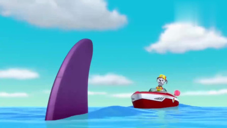 汪汪队立大功：莱德要毛毛用水枪发射鱼饼干，可是鲨鱼好像不喜欢