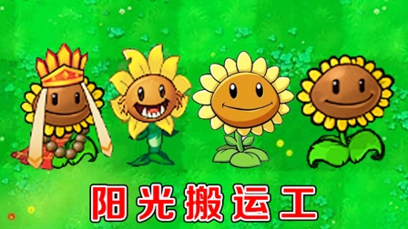 植物大战僵尸：不同版本中的向日葵，有什么区别？