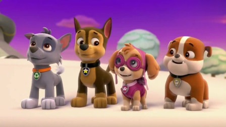 汪汪队：狗狗们装饰好圣诞树，等圣诞老人送礼物，可发现少点什么