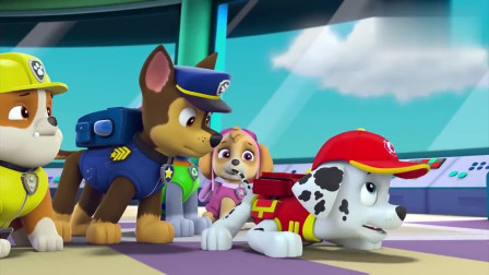 汪汪队：狗狗们要去出任务，可都得了感冒，这下该怎么办呢