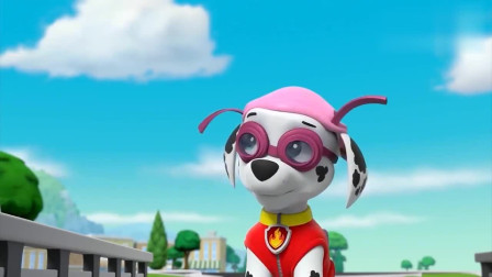 汪汪队立大功：毛毛自己出任务，穿着装扮，感觉还挺酷