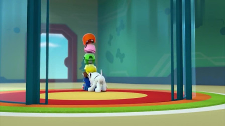 汪汪队立大功：毛毛自己来了，把伙伴头盔拿来，真是够逗的了