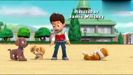 汪汪队立大功：毛毛被缠住了