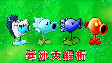 植物大战僵尸：不同版本中的寒冰射手，有什么区别？