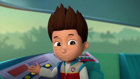 汪汪队：机器狗当司机，开着狗狗汽车，带领狗狗们去丛林