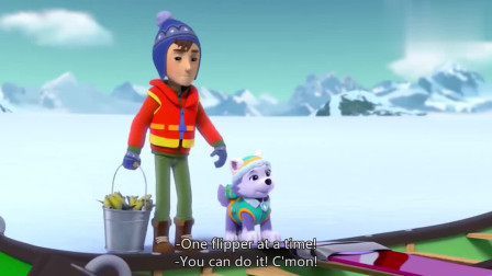 汪汪队：杰克和珠珠模仿企鹅，太搞笑了，企鹅都笑趴下了