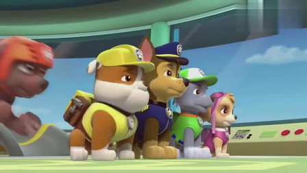 汪汪队立大功：狗狗们，凯莉遇到困难了，我们去帮助它们！