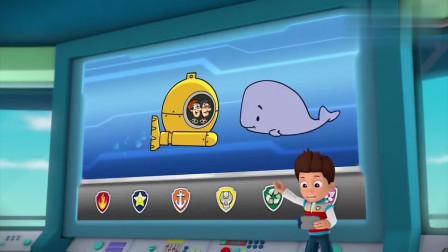 汪汪队：狗狗们集合，这次又出了什么问题，需要狗狗前去救援