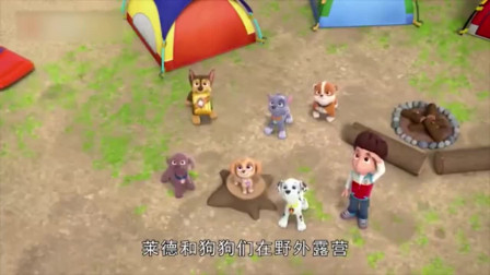 《汪汪队立大功》毛毛居然变成毛毛虫了，狗狗们快来帮忙！