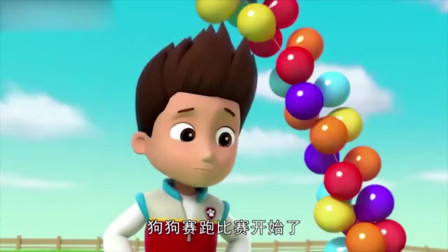 《汪汪队立大功》毛毛拯救小猫头鹰，幸好有狗狗们的帮助！