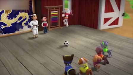 《汪汪队立大功》毛毛的狗狗功夫好厉害啊！居然可躲过小鸟！