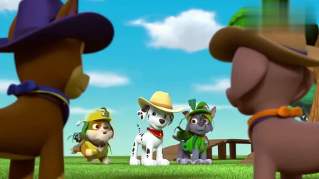 汪汪队立大功：狗狗们迫切展示为了乡村舞会练的新舞步