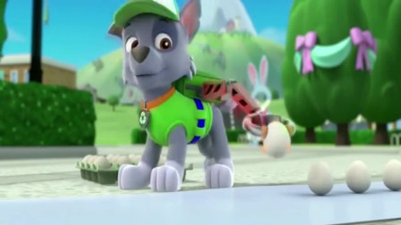 汪汪队立大功：狗狗摆好了蛋蛋，这是要做什么，我们来看看吧