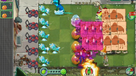 植物大战僵尸2：植物槲寄冰仙子7-8天，橄榄球僵尸！