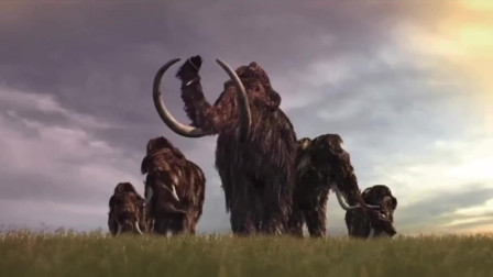 变异巨象索命，一群人能否逃出生天