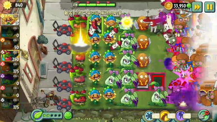 植物大战僵尸2国际版：戴夫的逃亡57天，尖刺秋葵！