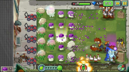 植物大战僵尸2：植物超能花菜1-2天，魅惑小鸡僵尸！