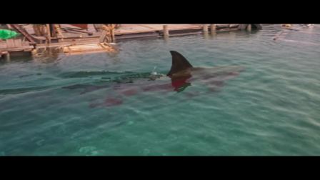 深海狂鲨3：高清片段合集 (23)