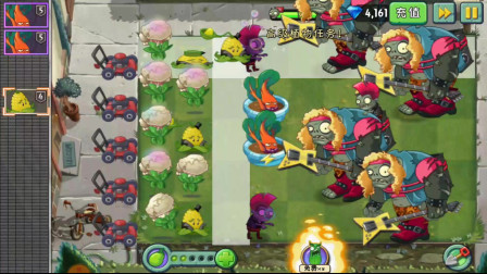 植物大战僵尸2：植物超能花菜3-4天，魅惑铁桶僵尸！