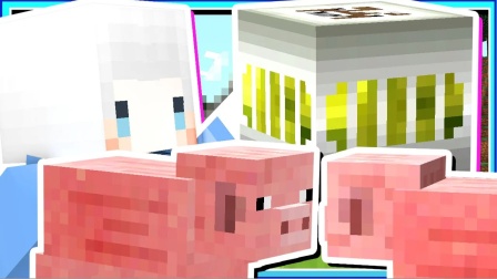 我的世界小白解说秘密传奇11 无视鲸鱼哀嚎强制超载结果溺水