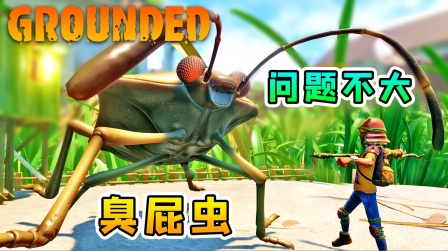 地面生存联机29：家被臭屁虫占领了，不过问题不大