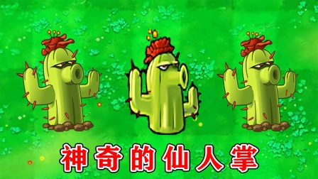 植物大战僵尸：不同版本中的仙人掌，有什么区别？