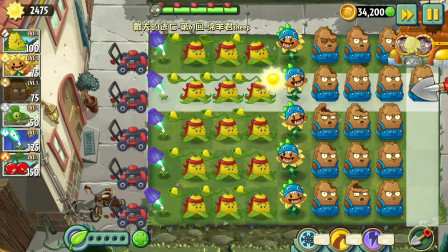 植物大战僵尸2国际版：戴夫的逃亡61天，种四排坚果！