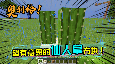 MC里撸仙人掌也会受伤？你见过仙人掌的底部长什么样吗？