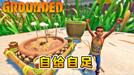 地面生存联机31：种蘑菇，造水缸，自给自足奔小康