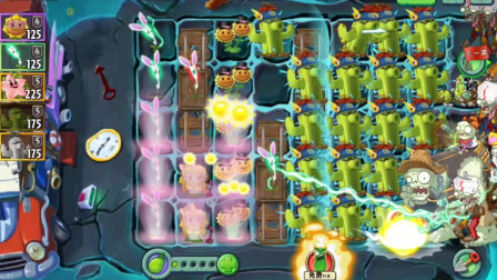 植物大战僵尸2：防御类植物变脆弱01天，潘妮的追击小鸡僵尸！