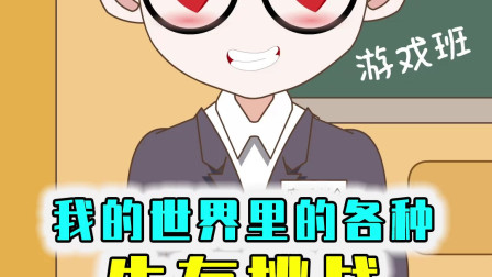 各种奇葩的生存挑战，假如MC生存只能走直线，你能通关吗？