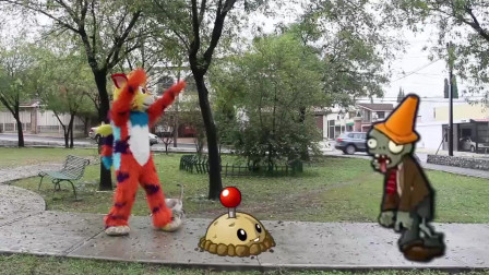 植物大战僵尸：倒霉的僵尸