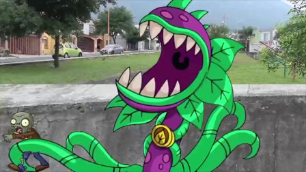 植物大战僵尸：倒霉的小僵尸