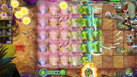 植物大战僵尸2：防御类植物变脆弱04天，潘妮的追击金缕梅女巫！