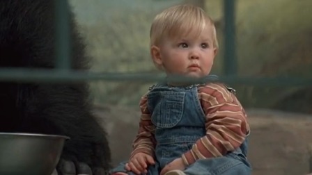《小鬼当街》大猩猩好有爱保护小宝宝
