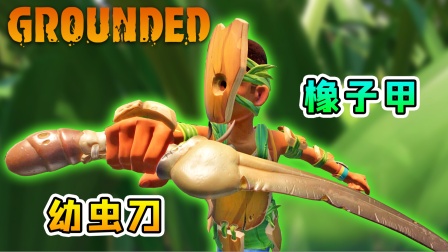 地面生存联机32：橡子甲，幼虫刀，这次探险不能飘