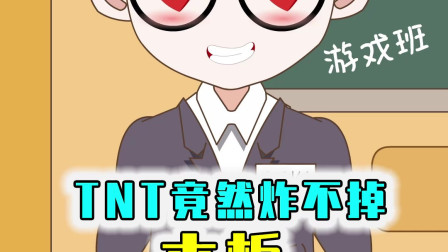 TNT连木板也炸不毁，女巫会在什么情况下扔剧毒药水呢？