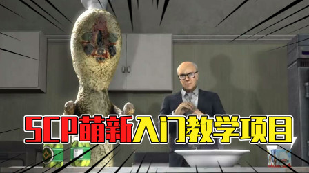 SCP基金会萌新入坑项目：收容等级是实力等级就越高？