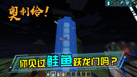 鲑鱼跃龙门！MC里的鲑鱼其实是可以攀爬上瀑布的，海鱼则不行