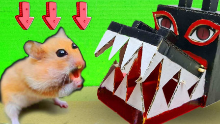 仓鼠勇闯惊险迷宫，不料半路杀出一只蜘蛛，最后能否逃出生天？