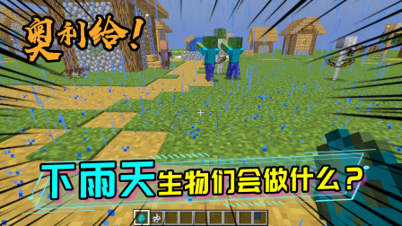 下雨的时候，各个生物的行为都会有哪些变化呢？狗狗会抖掉雨水