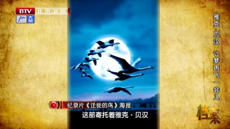 纪录片《迁徙的鸟》片段，极致的镜头构建飞行抒情诗，难怪震撼世界