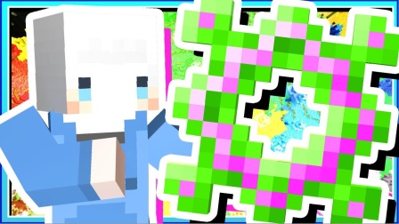 我的世界小白解说秘密传奇33老虎进住高级游乐场能否活到最后呢