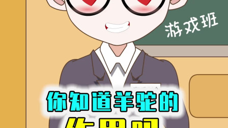 搬家小能手羊驼，只要牵住一只羊驼就可以形成一支商队