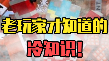 悟空说游：只要用好这东西，你就是MC中最帅的套马汉子！