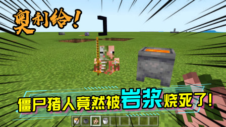 谁说僵尸猪人不能被岩浆烧死？炼药锅里的岩浆就可以做到