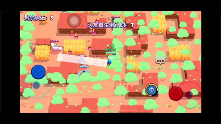 荒野乱斗 双人吃鸡11